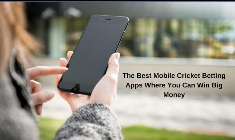 The Best Mobile Cricket Betting Apps in India Where You Can Win Big Money