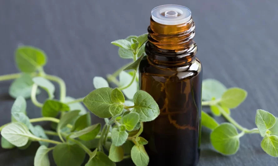 Wellhealthorganic.com: Health Benefits and Side Effects of Oil of Oregano